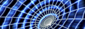 Bild Spinnennetz
